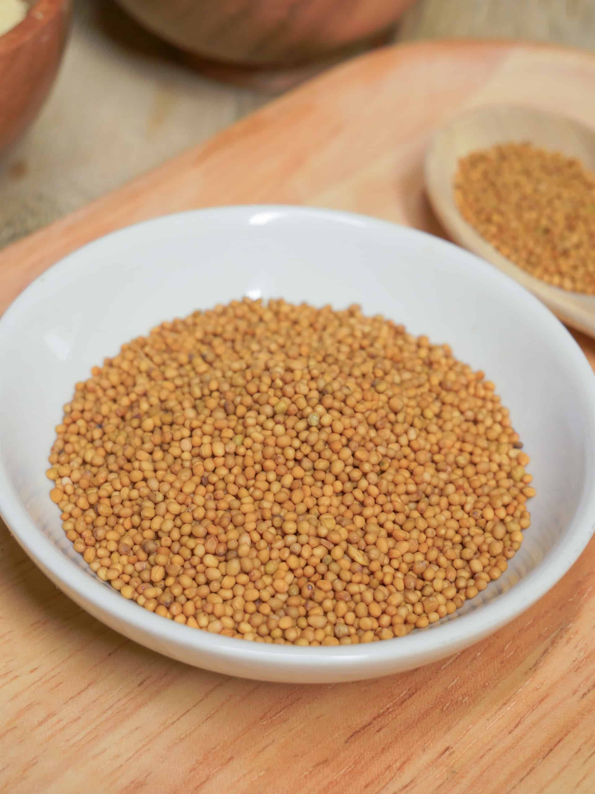 Oriental or Sarepta Mustard Seeds